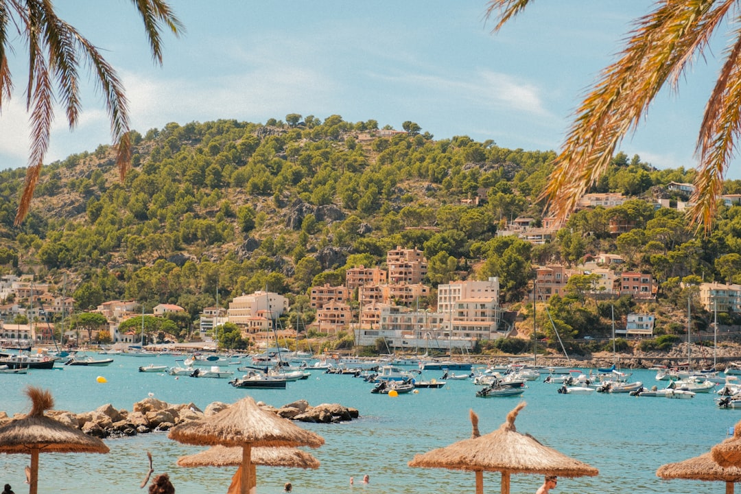 Medication and Health Essentials