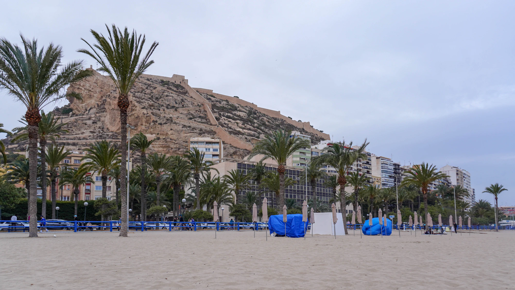 A sandy beach with palm trees and a mountain in the background