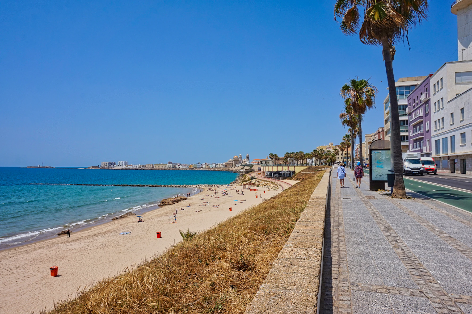 A view of a beach with palm trees and buildings