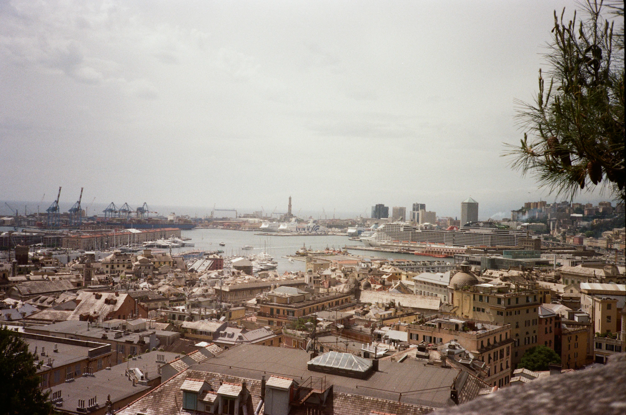 Civitavecchia vs Naples vs Livorno: Italian Cruise Port Days Compared