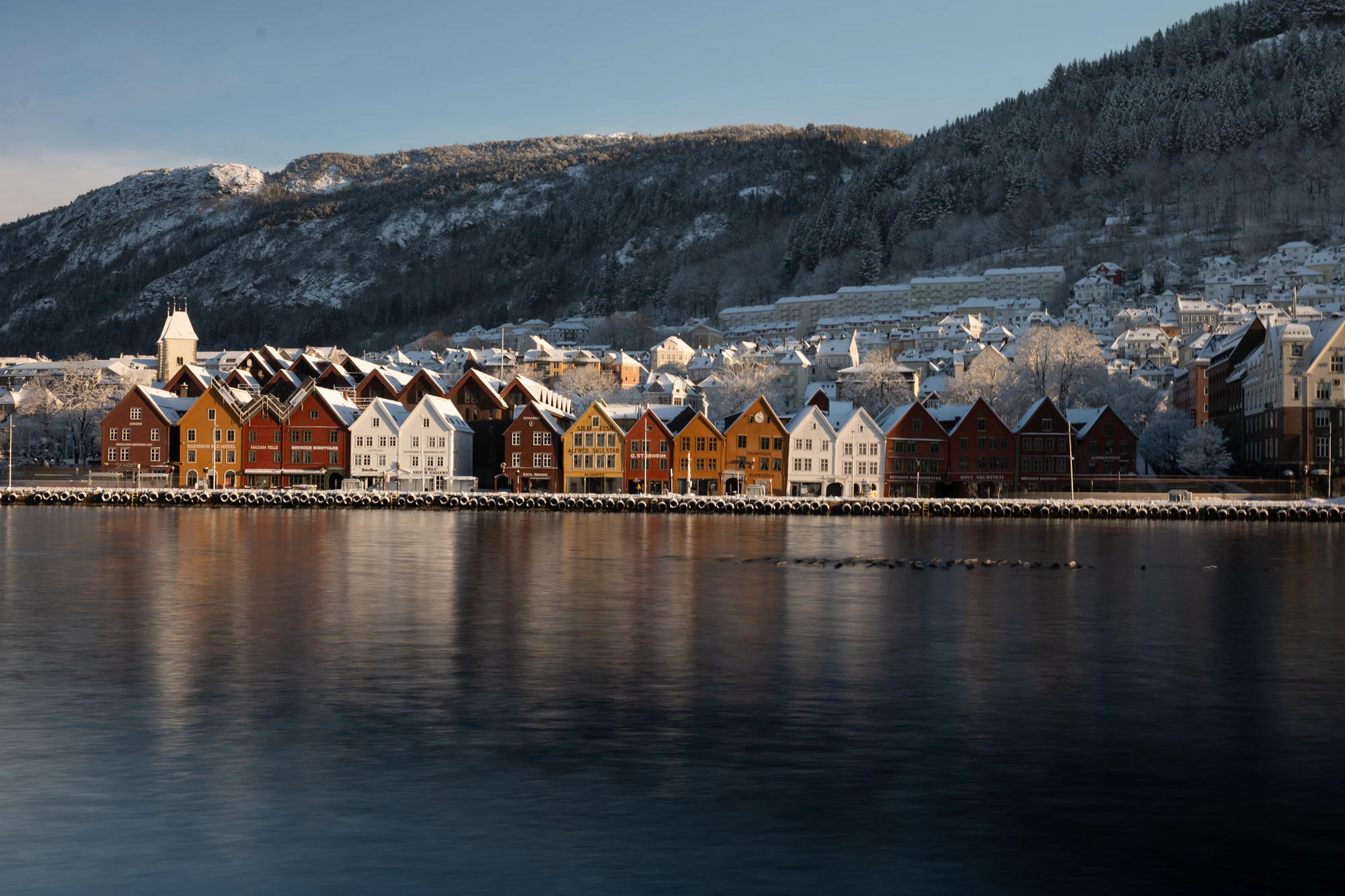 Bergen vs Stavanger: Two Norwegian Fjord Cruise Ports Compared