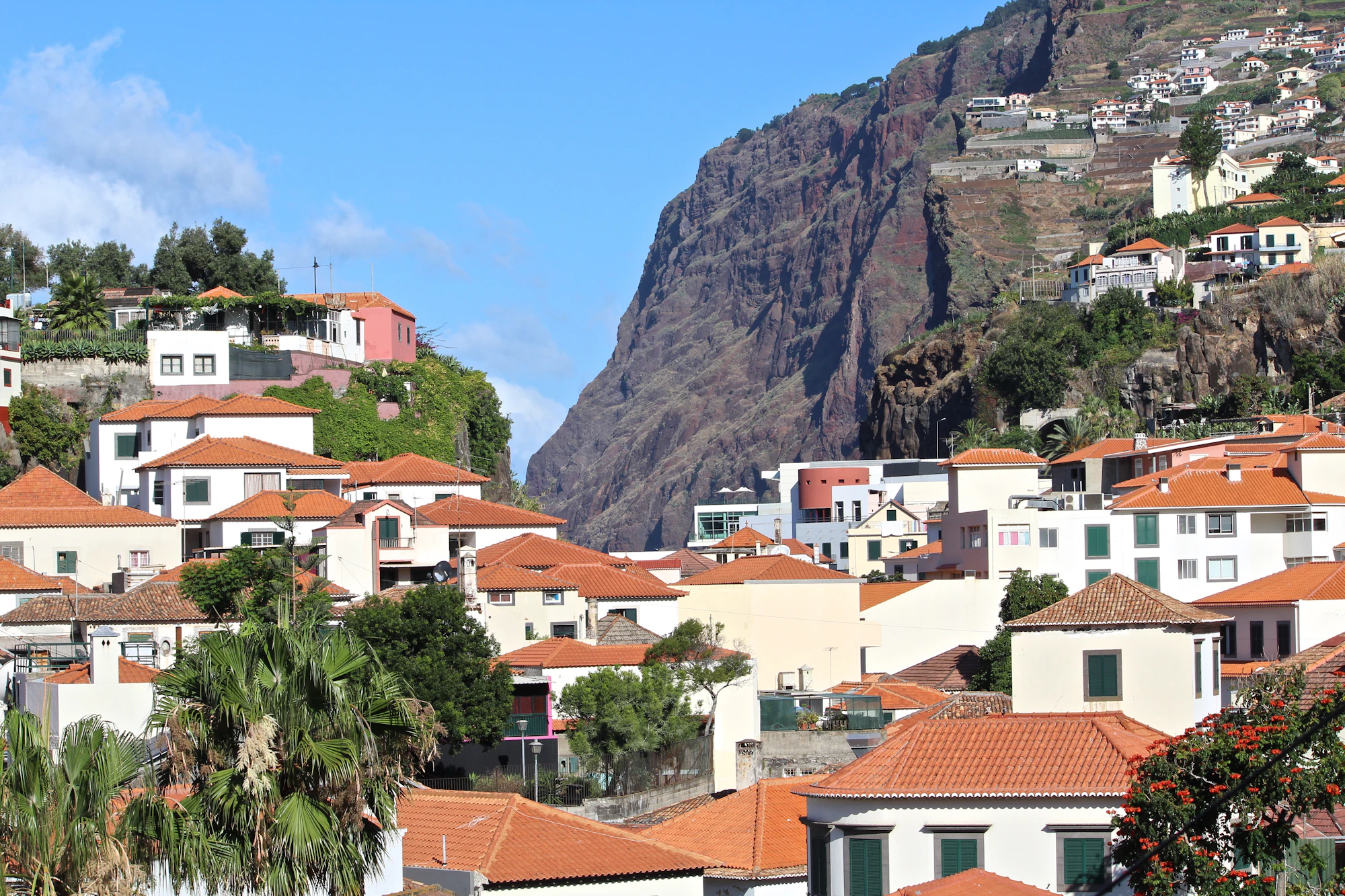 A view of a city with a mountain in the background